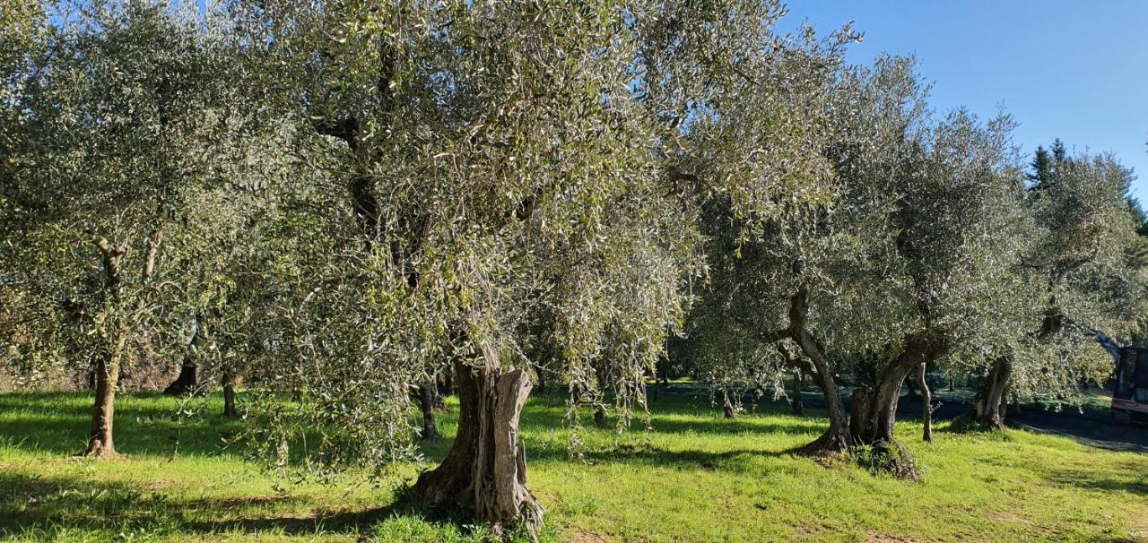 Hôtel Commuoversi Ssa - Azienda Agricola à Usigliano Extérieur photo