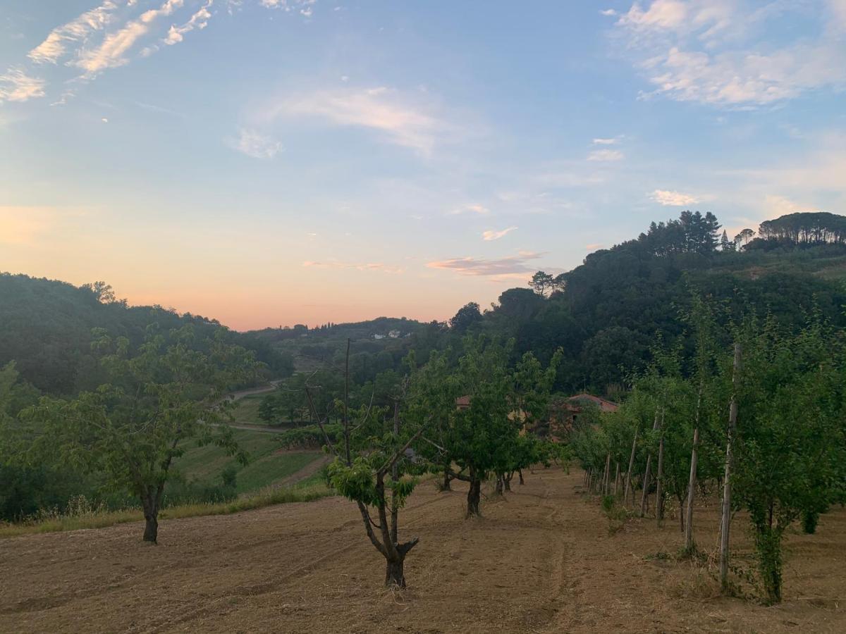 Hôtel Commuoversi Ssa - Azienda Agricola à Usigliano Extérieur photo