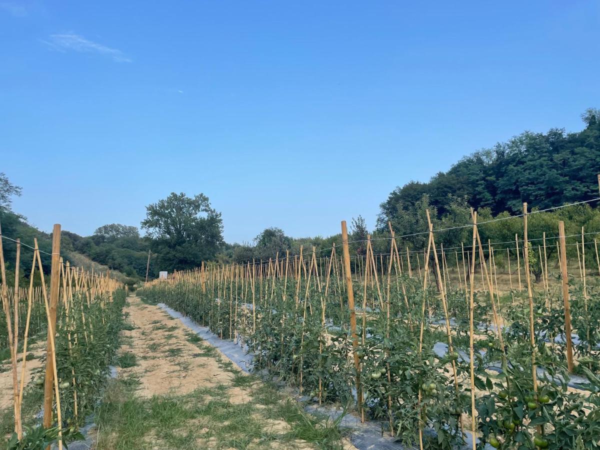 Hôtel Commuoversi Ssa - Azienda Agricola à Usigliano Extérieur photo